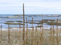 Albums/20060200-New Zealand 2006/20060318-Kaikiura/16